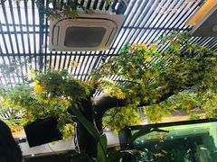 -阳光院坝小龙虾(红牌楼店)
