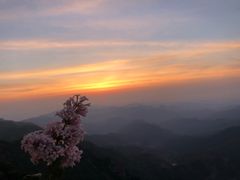 -白草畔自然风景区