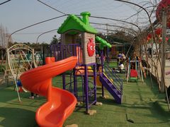 -小鱼草莓采摘园农家乐·小鱼餐厅