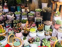 -循礼门鲜花花市(武汉循礼门店)