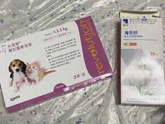 -半岛宠物医院24小时(科华中路店)