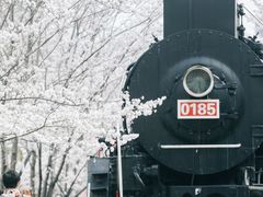 -新天地活力PARK