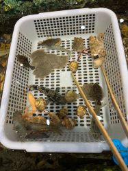 -钓虾工场·钓虾·赶海(回龙观店)