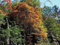 -梭布垭石林景区