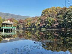 -灵谷景区