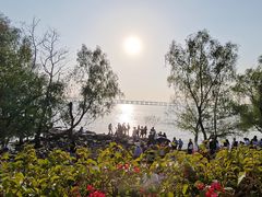 -宝安西湾红树林湿地公园