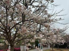-盈香心动乐园