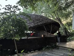 -大湾区中央湿地公园