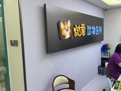 -达爱动物医院·犬猫分区·CT·复杂眼科(远洋山水分院)