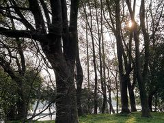 -柯岩风景区