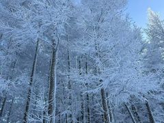 -密苑云顶乐园(云顶滑雪场)