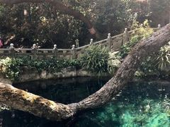 -蝴蝶泉公园