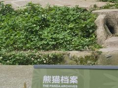 -碧峰峡风景区
