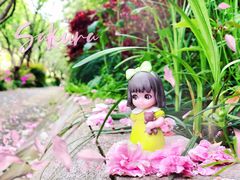 -新江湾城公园