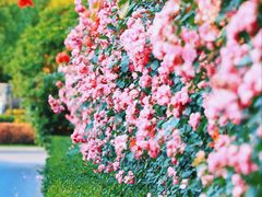 -上海科技馆(地铁站)