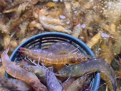 -聚盛源蒸汽海鲜火锅烤肉自助(巨川金海岸购物广场店)