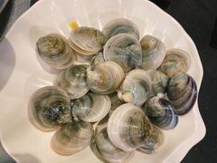 蛤蜊-吉友粥底火锅(方斜路店)