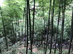 -藏龙百瀑风景区