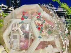 -天空花园餐吧·生日·团建(南山店)