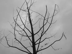 -国家会展中心-P3停车场