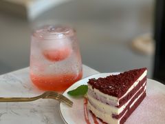 -飞行喵MR PILOT|猫舍·猫咖(静安大融城店)