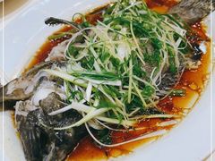 -凤城礼记鱼翅海鲜酒家(新马路总店)