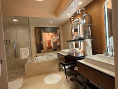 -拉斯维加斯永利酒店