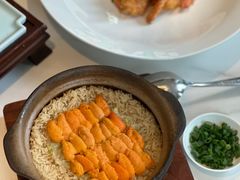 海胆煲仔饭-七号私厨·百年洋楼