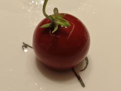 -海派悦庭·海胆烧麦·新融合菜(凯德广场店)