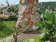 -桃花岛风景旅游区