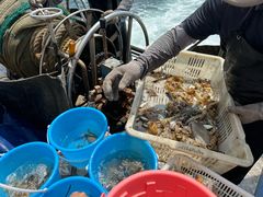 -日照世帆赛基地