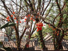 -悦真雅院·四合院·清真私房菜(雍和宫店)