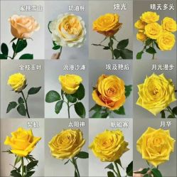 -小黑瓶美甲美睫