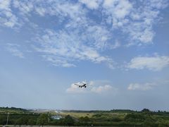 -空港花田景区
