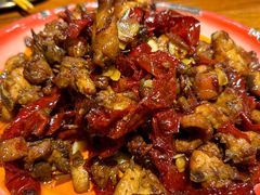 辣子鸡-柴窝堡22号辣子鸡·传承新疆菜