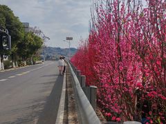 -桃源山庄·水蜜桃采摘·柴火鸡·烧烤团建(龙泉山店)