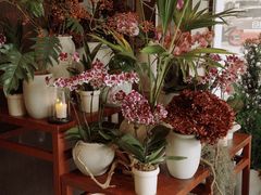 -OGGI TRATTORIA PIZZERIA(深业上城店)