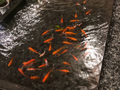 -宁海森林温泉