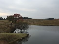 -大柳草原