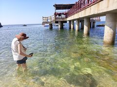 -养马岛旅游度假区
