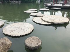 -西苑公园