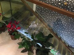 -开鑫鱼厂·宁波海鲜(前程智慧城店)