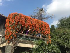 -东莞市可园博物馆