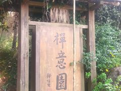 -铁山坪森林公园