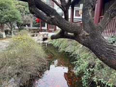 -苏州吴宫泛太平洋酒店