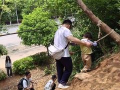 -青龙山国家森林公园