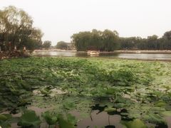 -小王府(什刹海店)