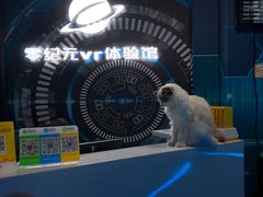 -零纪元VR体验馆·桌游(黄浦店)