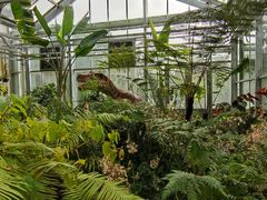 -国家植物园南园