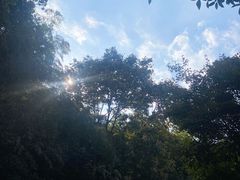 -杭州黄龙洞